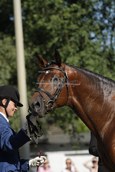 Preview 08-TB-06-Zauberfuerst-46.jpg