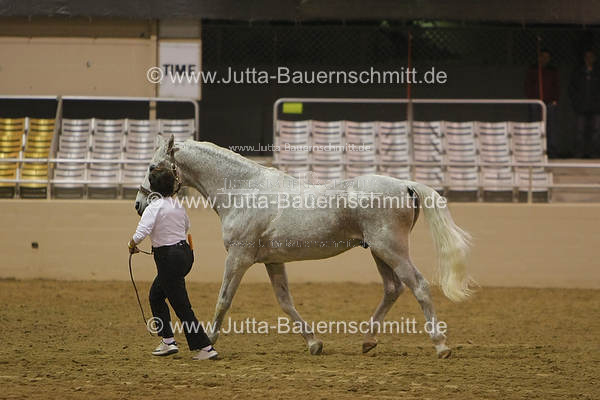 Preview 08-ATA-SaxenNach-04.JPG