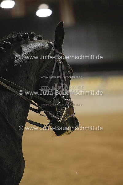 Preview 08-ATA-SaxenNach-26.JPG