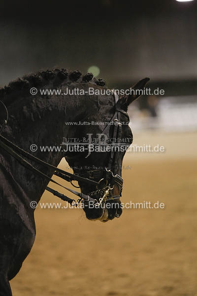 Preview 08-ATA-SaxenNach-27.JPG