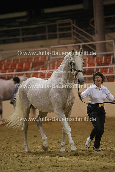 Preview 08-ATA-SaxenNach-39.JPG