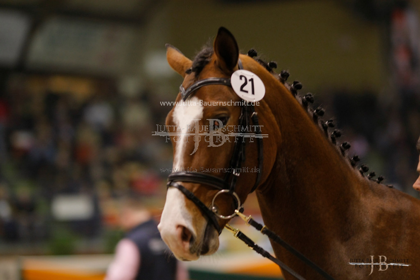 Preview 10-TH-H-Brabant_JB_0146.jpg