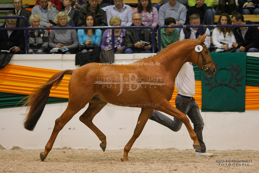 Preview 10-TH-GH-Edberg_JB_0052.jpg