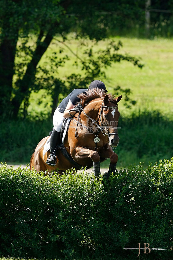 Preview 11-Mailh-10-Wiesenhahn-5329.JPG