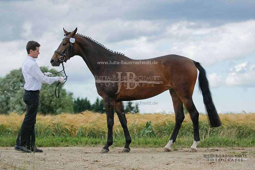 Preview 11-ZSE-Mainb-3-Sturmwolke-7811.JPG