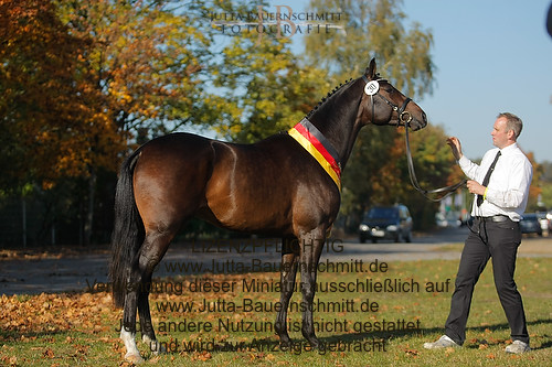 Preview 11-THM-GH-Haewelmann_JB_6182.jpg