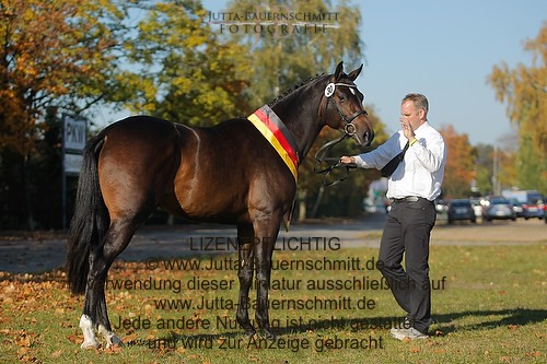 Preview 11-THM-GH-Haewelmann_JB_6190.jpg