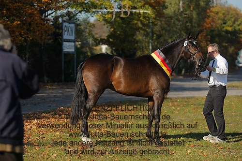 Preview 11-THM-GH-Haewelmann_JB_6225.jpg