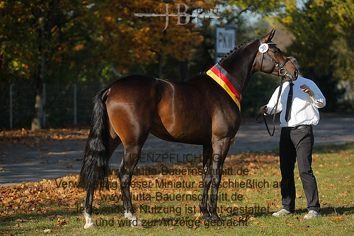 Preview 11-THM-GH-Haewelmann_JB_6239.jpg