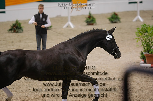 Preview 11-THM-S-Kattenau_JB_2465.jpg