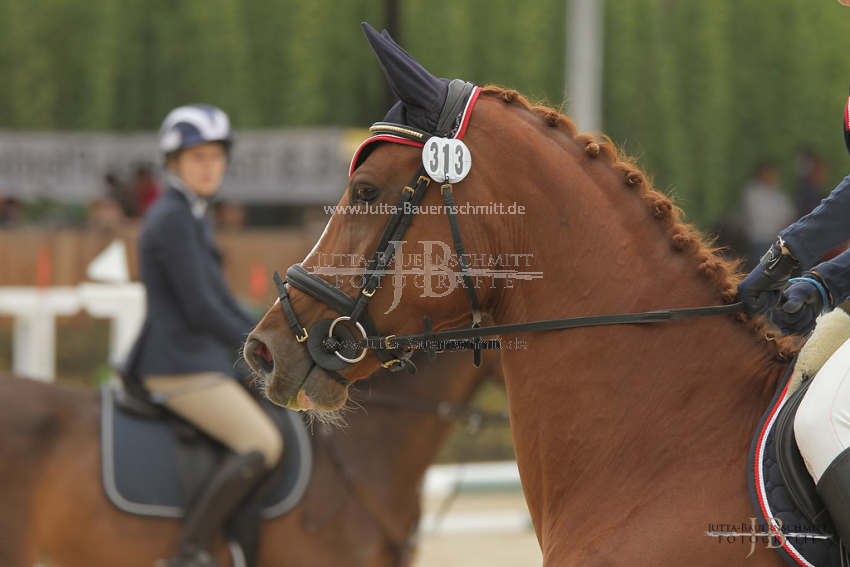 Preview 12-BTT-S-SapraLotte-JB_09089.jpg