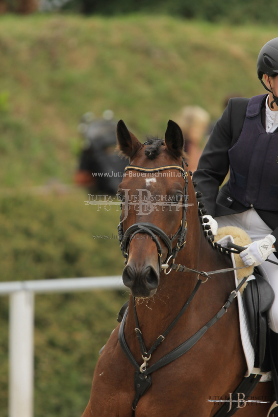 Preview 12-BTT-S-SirArthur-JB_09107.jpg