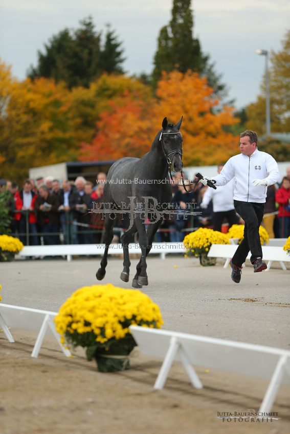 Preview 12-TH-H-Hopkins-JB_09652.jpg