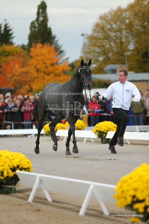 Preview 12-TH-H-Hopkins-JB_09653.jpg