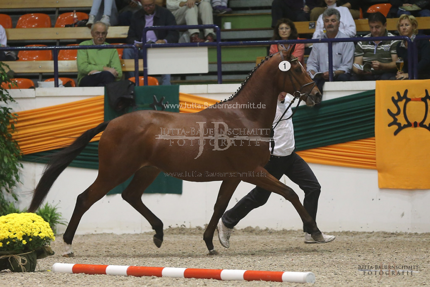 Preview 12-THM-GH-Amourano-JB_11663.jpg