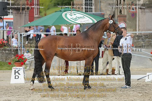 Preview 14-LSSHessen-11_JB_95917.JPG