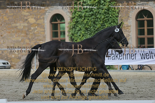 Preview 14-LSSHessen-16_JB_96129.JPG