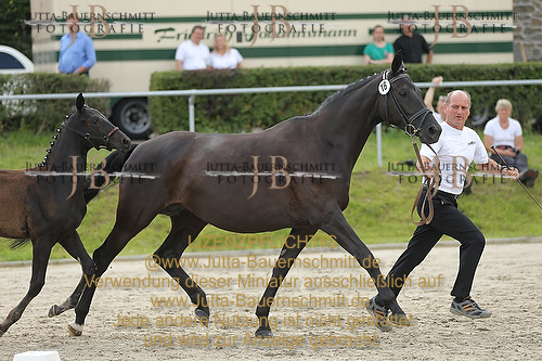 Preview 14-LSSHessen-16_JB_96132.JPG