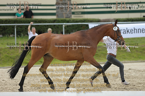 Preview 14-LSSHessen-17_JB_96140.JPG