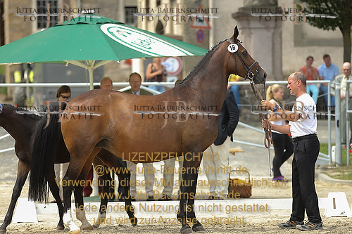 Preview 14-LSSHessen-18_JB_96159.JPG