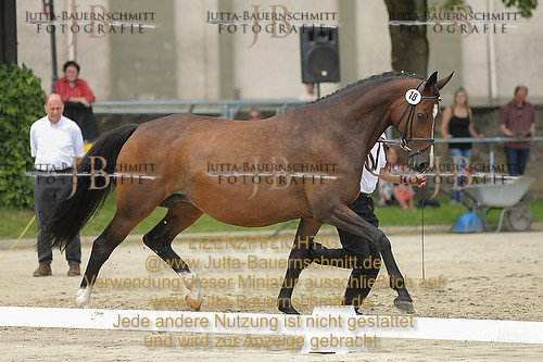 Preview 14-LSSHessen-18_JB_96162.JPG