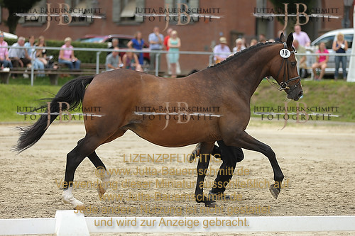 Preview 14-LSSHessen-18_JB_96170.JPG