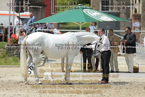 Preview 14-LSSHessen-20_JB_96177.JPG