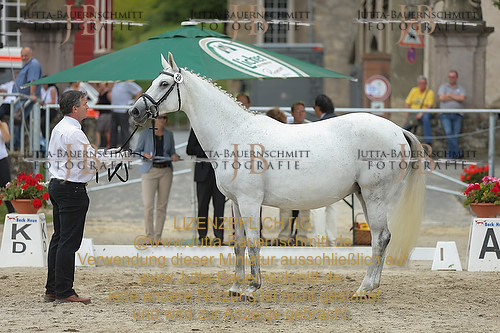 Preview 14-LSSHessen-20_JB_96192.JPG