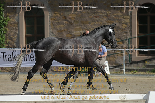 Preview 14-LSSHessen-216-JB_95565.JPG