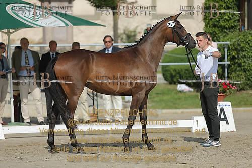 Preview 14-LSSHessen-217_JB_95572.JPG