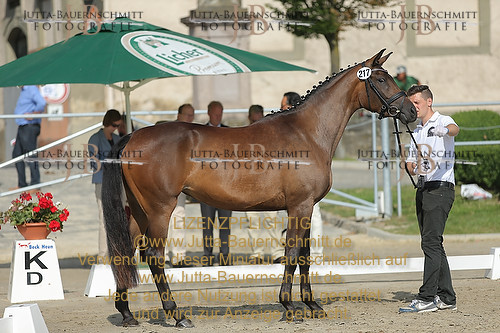 Preview 14-LSSHessen-217_JB_95575.JPG