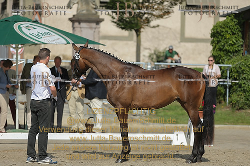 Preview 14-LSSHessen-217_JB_95589.JPG