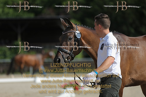 Preview 14-LSSHessen-217_JB_95673.JPG