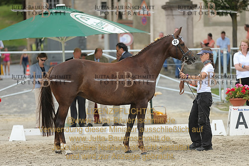 Preview 14-LSSHessen-21_JB_96201.JPG