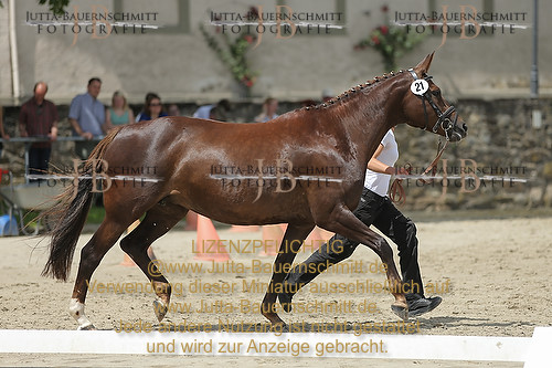 Preview 14-LSSHessen-21_JB_96206.JPG