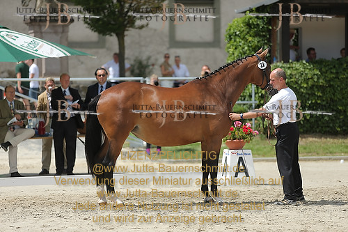 Preview 14-LSSHessen-22_JB_96262.JPG