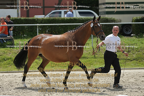 Preview 14-LSSHessen-22_JB_96272.JPG