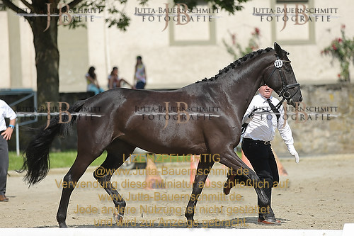 Preview 14-LSSHessen-233_JB_95791.JPG