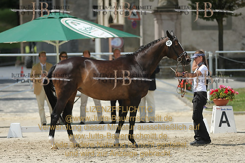 Preview 14-LSSHessen-23_JB_96287.JPG