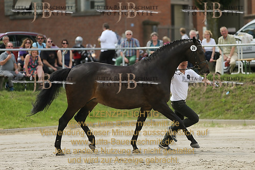 Preview 14-LSSHessen-24_JB_96320.JPG