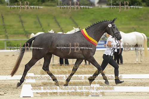 Preview 14-LSSHessen-FamKarlotta_JB_96852.JPG