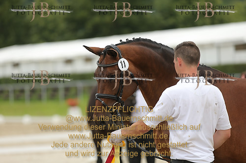 Preview 14-LSSHessen-FamKoenigsfee_JB_96777.JPG