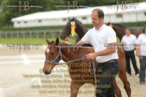 Preview 14-LSSHessen-FamKoenigsfee_JB_96779.JPG