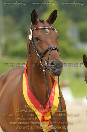 Preview 14-LSSHessen-FamKoenigsfee_JB_96858.JPG