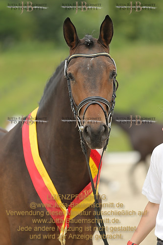 Preview 14-LSSHessen-FamKoenigsfee_JB_96860.JPG