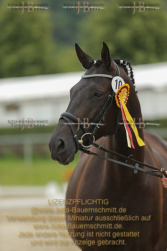 Preview 14-LSSHessen-FamUmbra_JB_96780.JPG