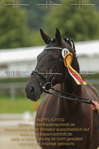 Preview 14-LSSHessen-FamUmbra_JB_96781.JPG