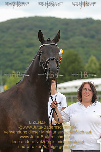 Preview 14-LSSHessen-FamUmbra_JB_96789.JPG