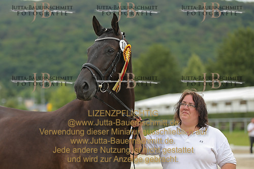 Preview 14-LSSHessen-FamUmbra_JB_96792.JPG