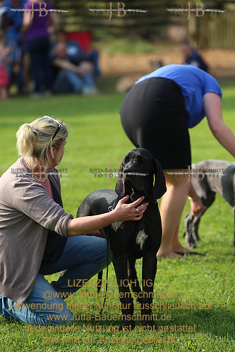 Preview 14-CPH-BAF_JB_97979.JPG